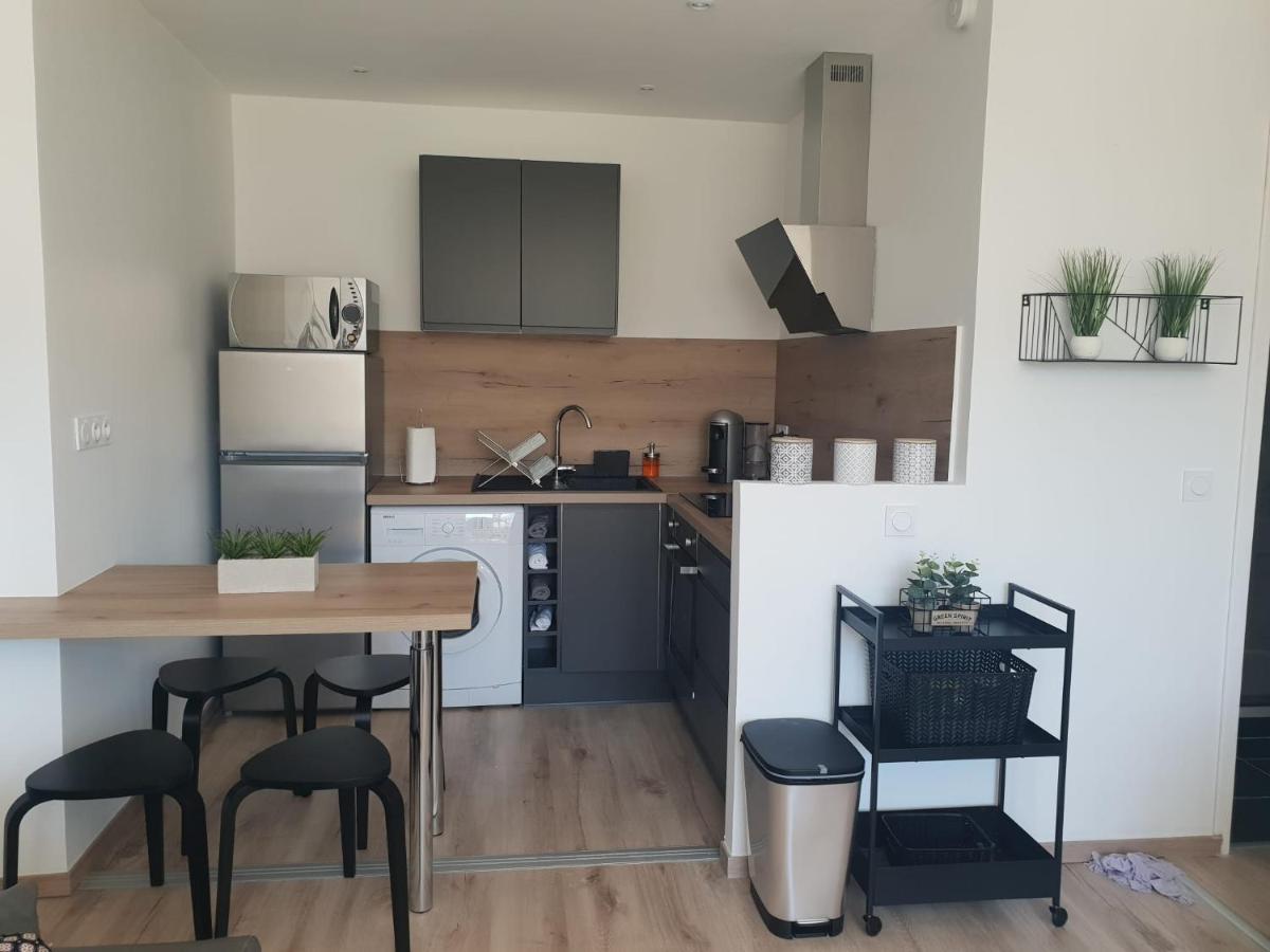 Apartament Cosy T2-Gare De Grenoble Zewnętrze zdjęcie