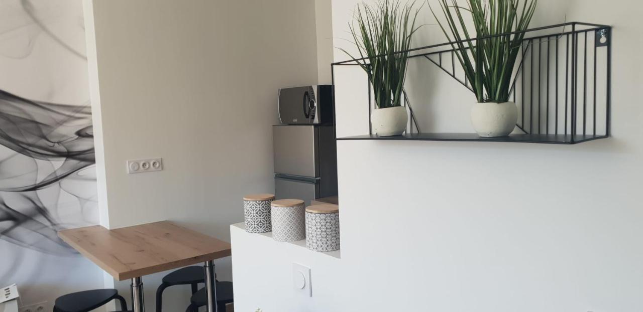 Apartament Cosy T2-Gare De Grenoble Zewnętrze zdjęcie