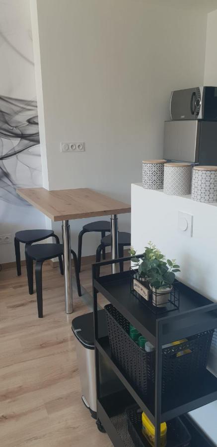 Apartament Cosy T2-Gare De Grenoble Zewnętrze zdjęcie