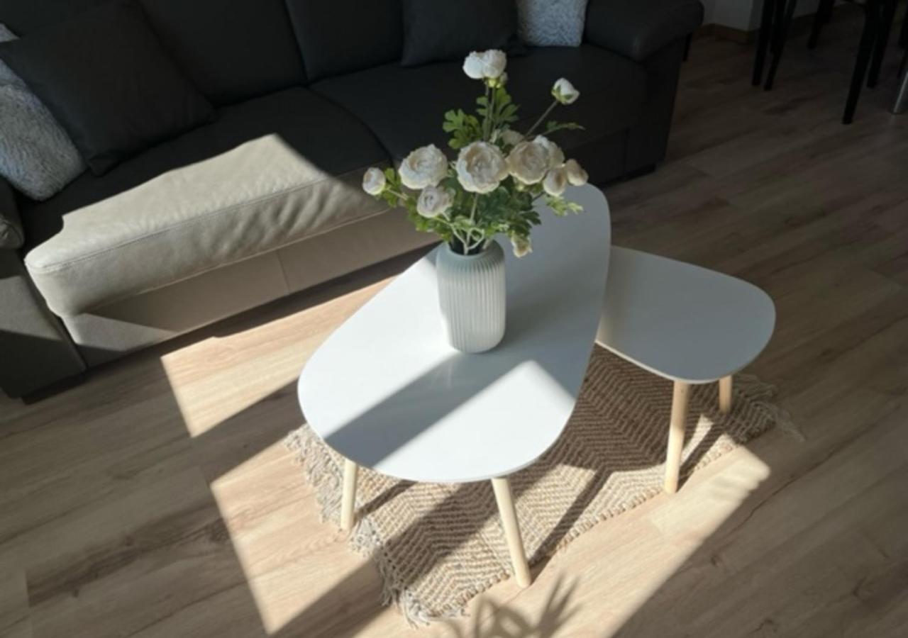 Apartament Cosy T2-Gare De Grenoble Zewnętrze zdjęcie